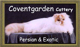 Coventgarden Cattery