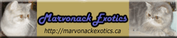 Marvonack Exotics