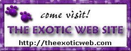The Exotic Web Site