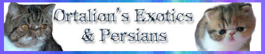 Ortalion's Exotics & Persians